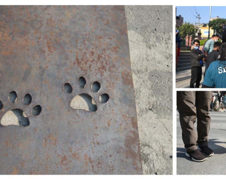 Footprints for Animals to cross roads in Lalitpur (With photos)
