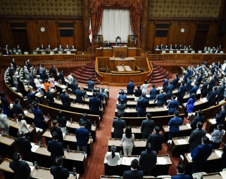 Japan's parliament passes bill to allow joint custody for divorced parents