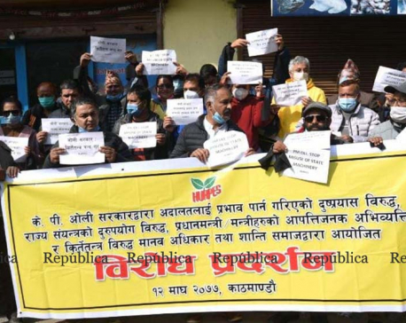 IN PICS: Human Right and Peace Society stages protest against PM Oli