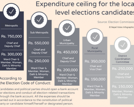 Polls expenditure ceiling criticized as impractical