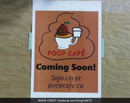 Poop-themed dessert cafe opens in Canada