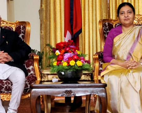 No complaint can be filed against president’s discretionary rights: PM Oli