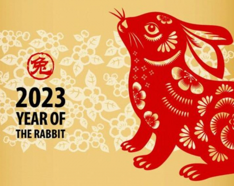 The Chinese New Year: Rabbit Year