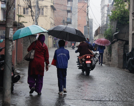 In Pictures: Kathmandu receives winter rainfall