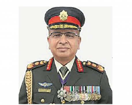 SAC taskforce wants army ex-chief Chhetri’s property probed