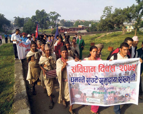Rautes paid to participate in constitution day parade