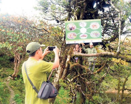 Local units make efforts for red panda conservation
