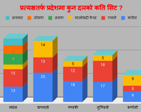 Nepali Congress, CPN-UML emerge as largest parties in provincial assemblies