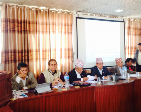 CPN- UML organizes workshop on Nepal's development in Bhaktapur
