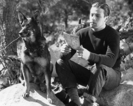Warner Bros to launch film on military hound Rin Tin Tin