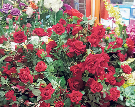 Rose stems worth Rs 15 million being imported for Valentine’s Day