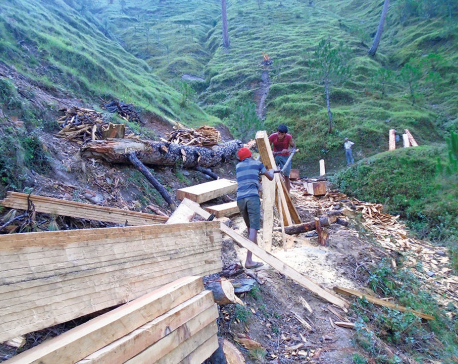 Villagers fear landslide due to rampant deforestation