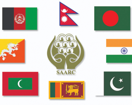 SAARC video conference on combating coronavirus to take place on Sunday: report