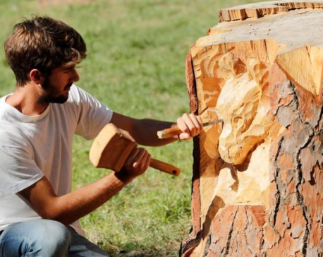 Sculptor transforms Rome's dead trees into art