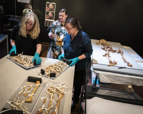 Skeletons of related Viking-era men to reunite for exhibit