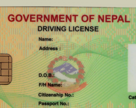 Applications for new driving license exceed half a million