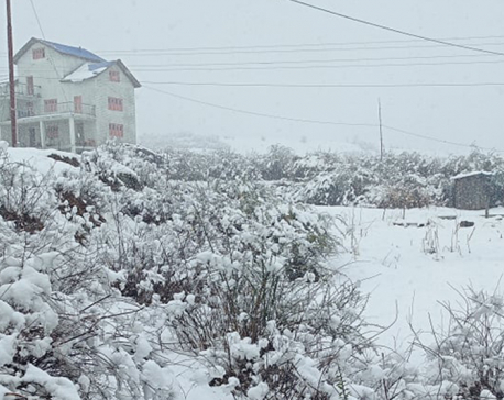 Snowfall in Sankhuwasabha cripples lives