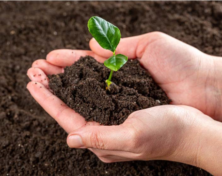 Ninth World Soil Day being observed today