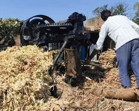 Sugar factories in Rautahat and Sarlahi face shortage of sugarcane