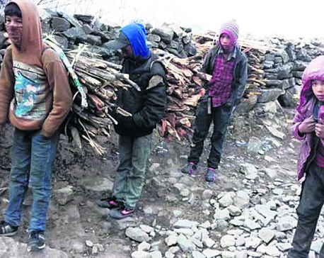 Humla children sell timbers to cover education expenses