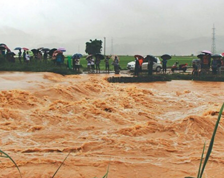 Water in Tinau and West Rapti Rivers reach danger level as heavy rainfall triggers floods