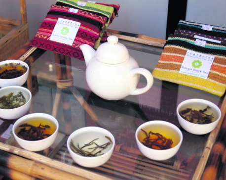 Teafresho to open tea lounge in New York