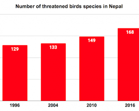 Nepal sees a massive increase in threatened birds species