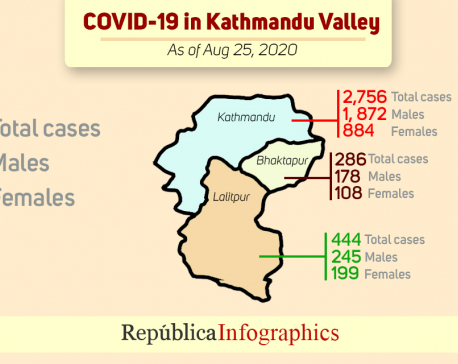 COVID-19 cases in Kathmandu Valley keep on soaring; 232 cases on Tuesday alone