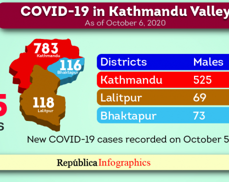 Kathmandu Valley’s COVID-19 case tally reaches 31,865 with 1,017 new cases in past 24 hours