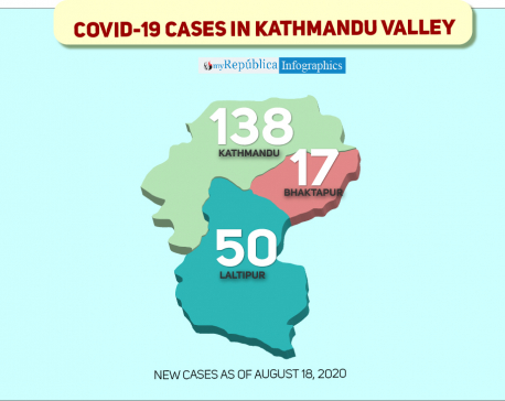 Kathmandu Valley sees highest single-day spike of 205 COVID-19 cases