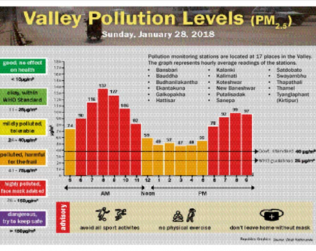 Valley Pollution Levels for 28 January, 2018