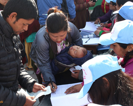 In Pictures: Voter ID distribution