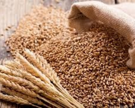 Govt writes to India to lift ban on wheat export to Nepal