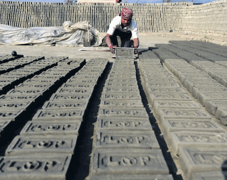 Child labor rampant in the brick industry in Tulsipur