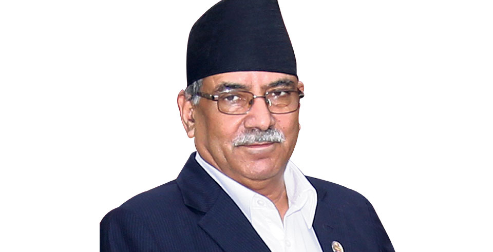 Shoe attack on NCP chairperson Dahal in capital (with video)