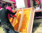 Third Orange festival Kicks off in Baglung