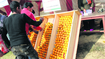 Third Orange festival Kicks off in Baglung