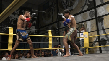 Boxing and Muay Thai matches to promote professional combat sports
