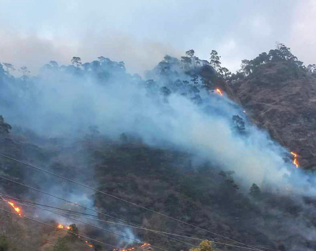 70 community and national forests affected by fire in Parbat till Wednesday