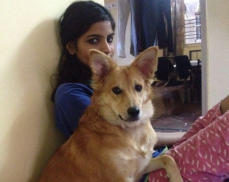 Indian woman rejects marriage proposal because ‘he didn’t like dogs’