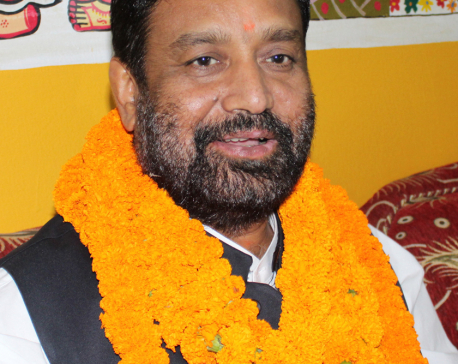 Constitution amendment process in final stage: DPM Nidhi