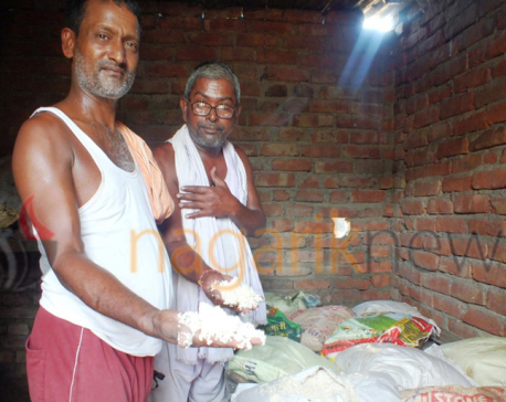 Rice distributed by Katwal Trust to Saptari flood victims found rotten