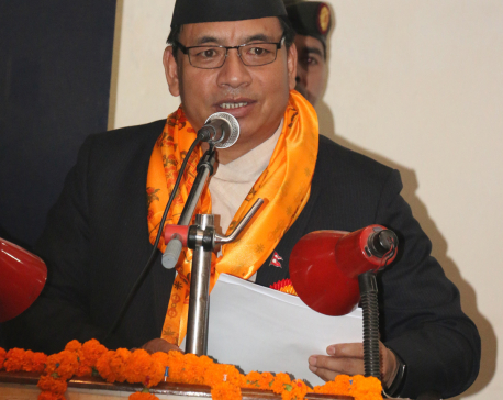 Youth involvement essential for agriculture development: VP Pun