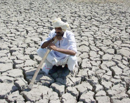 Study finds India at risk of food shortage due to climate change