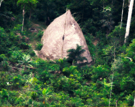 Isolated tribe members in Brazil spotted in drone footage