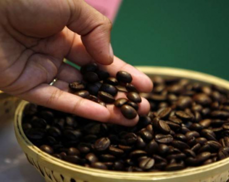 Flood damage may slash India's coffee output by 20 percent: trade body