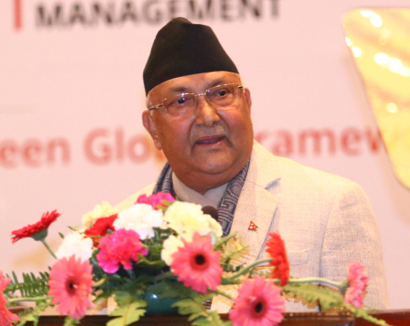 Govt is serious about disaster risk management: PM Oli