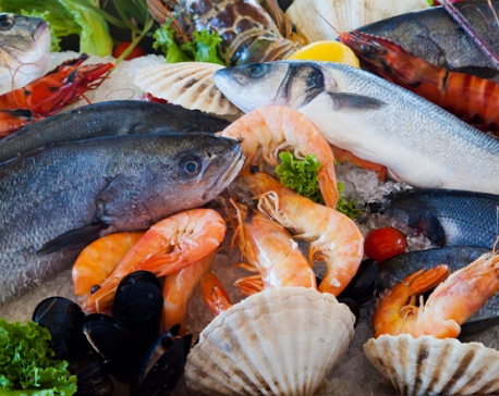 Norway's seafood exports hits record high in H1 2018 -council