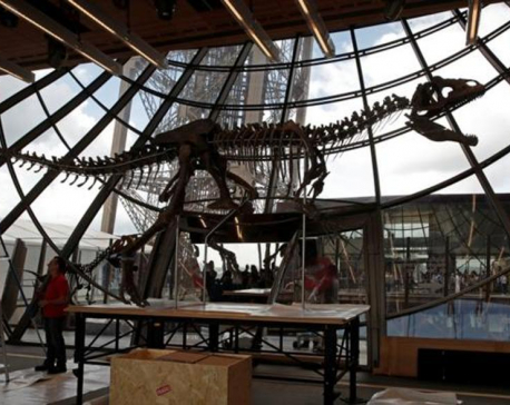 Rare dinosaur skeleton sells for two million euros