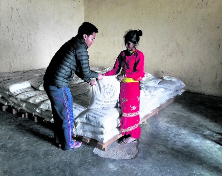 NFC accused of creating rice crisis in Kalikot